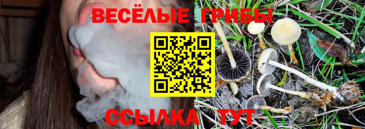 Галлюциногенные грибы ЛСД  Галлюциногенные грибы мухоморы  купить   Валуйки  Вход с VPN 
